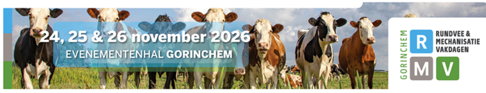 Gorinchem teaser.png